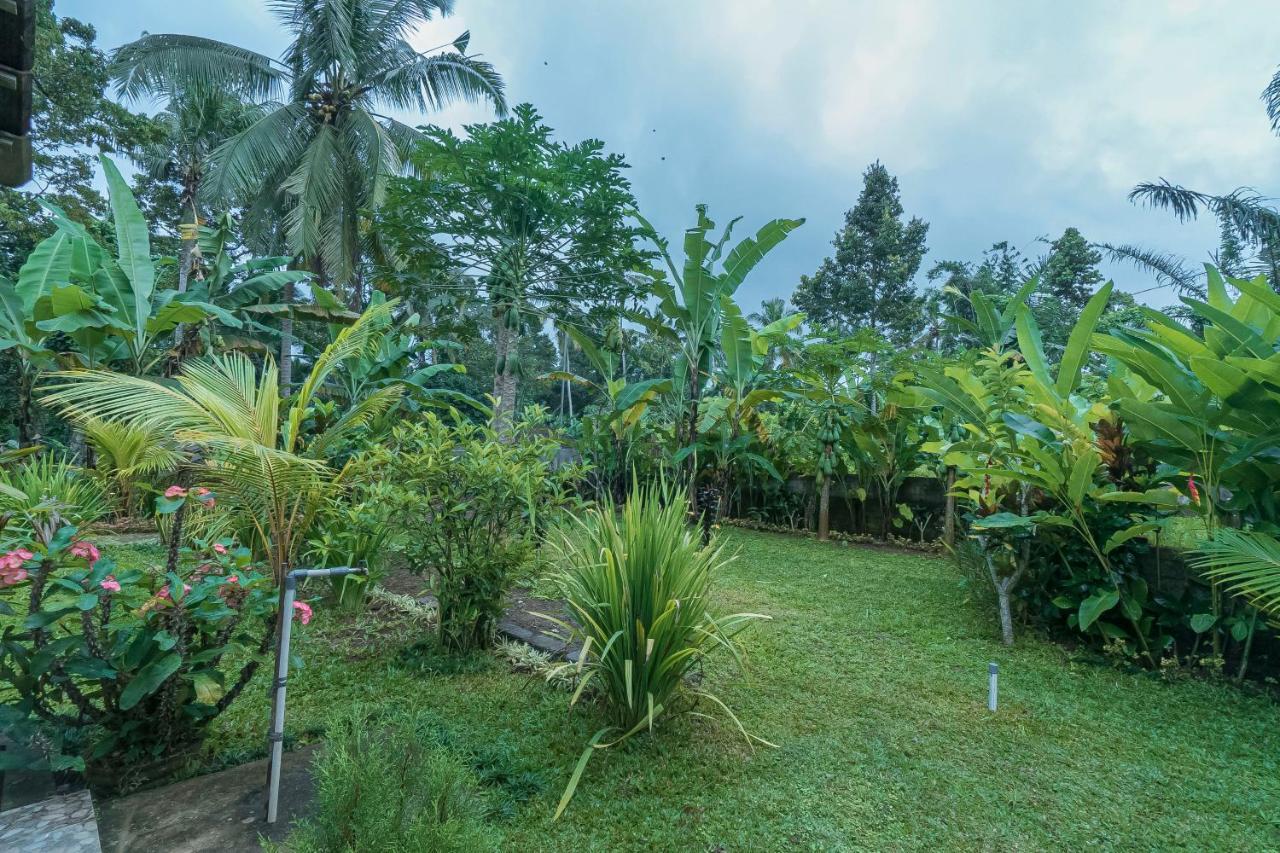 Vaneka Garden House أوبود المظهر الخارجي الصورة
